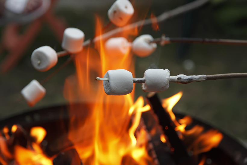 bonfire_marshmallows_Michelle_Barringer