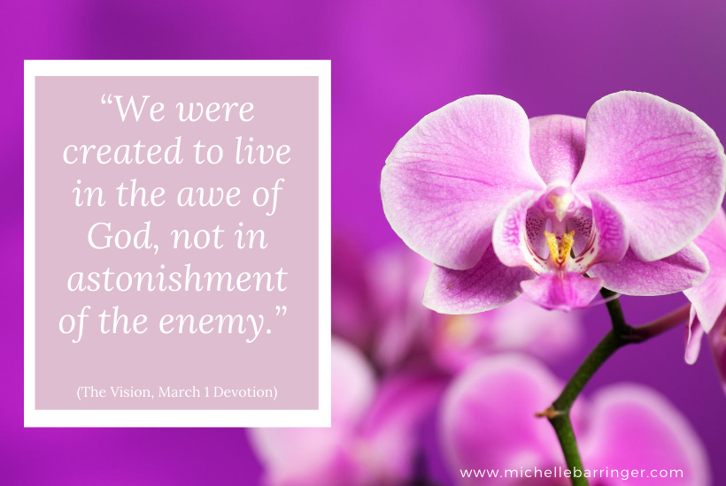 "We were created to live in the awe of God, not in astonishment of the enemy." Quote in The Vision Devotional, March 1 Devotion