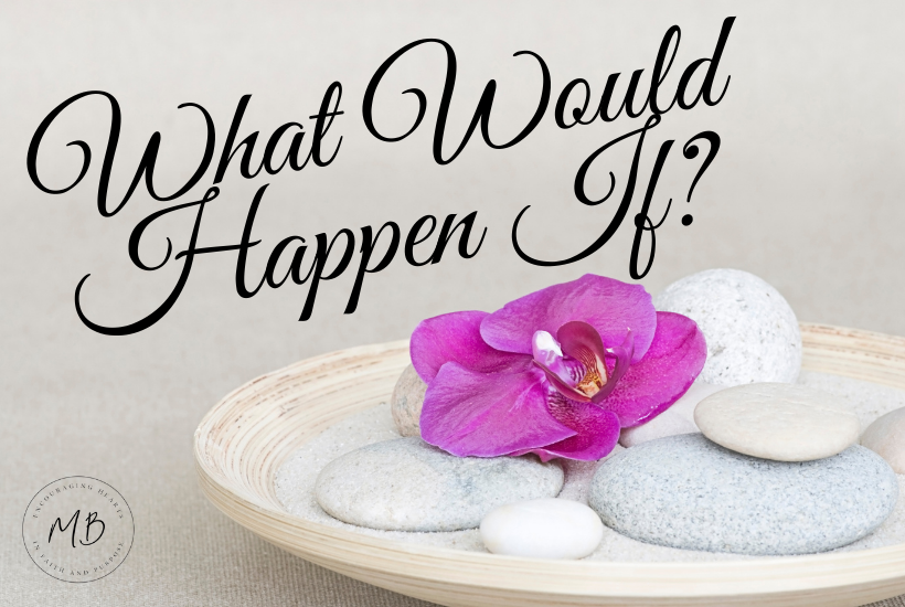 Rocks and orchid flower sitting peacefully on top of smooth rocks. What Would Happen If - Michelle Barringer