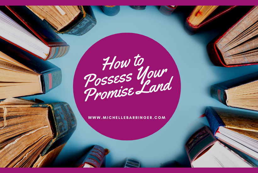 How to possess your promise land - Michelle Barringer blog