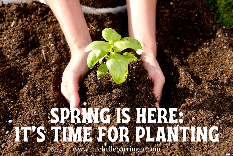 Spring is Here: It's Time for Planting