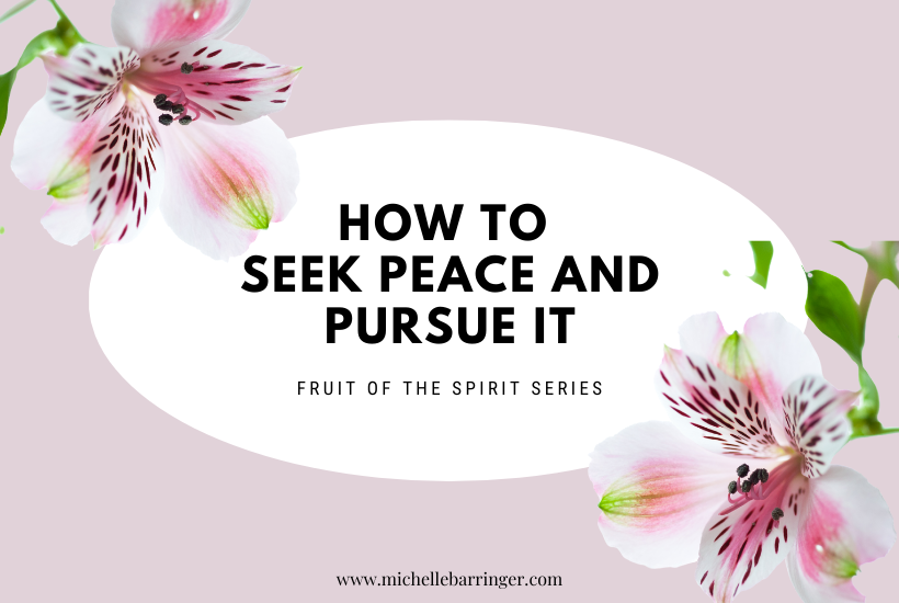 How to Seek Peace and Pursue It - Michelle Barringer Blog