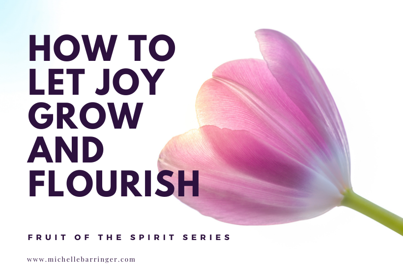 How to Let Joy Grow and Flourish - Fruit of the Spirit Series - Michelle Barringer Blog