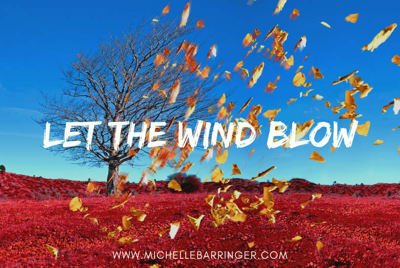 Wind blowing leaves off a tree.Says "Let the wind blow" - Michelle Barringer Blog
