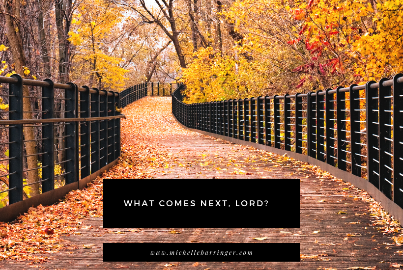 What comes next, Lord? - Michelle Barringer blog - autumn scene with bridge