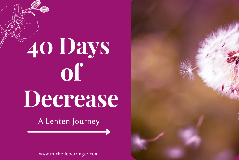 40 Days of Decrease: A Lenten Journey
Michelle Barringer website
A picture of a dandelion letting go of seeds.