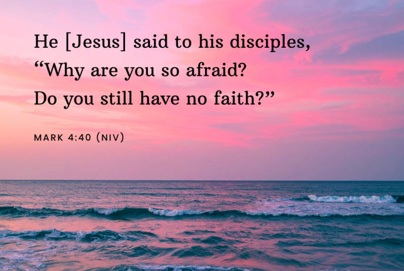He [Jesus] said to his disciples, "Why are you so afraid? Do you still have no faith?"